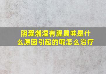 阴囊潮湿有腥臭味是什么原因引起的呢怎么治疗